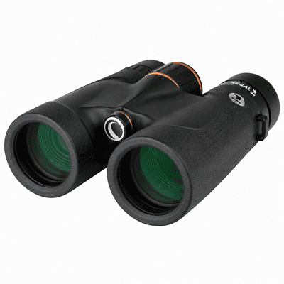 Celestron Regal ED 8x42 – prismáticos para ver fauna salvaje