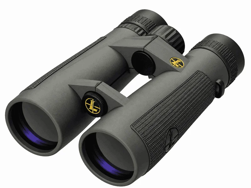 Leupold BX-5 Santiam HD 15x56